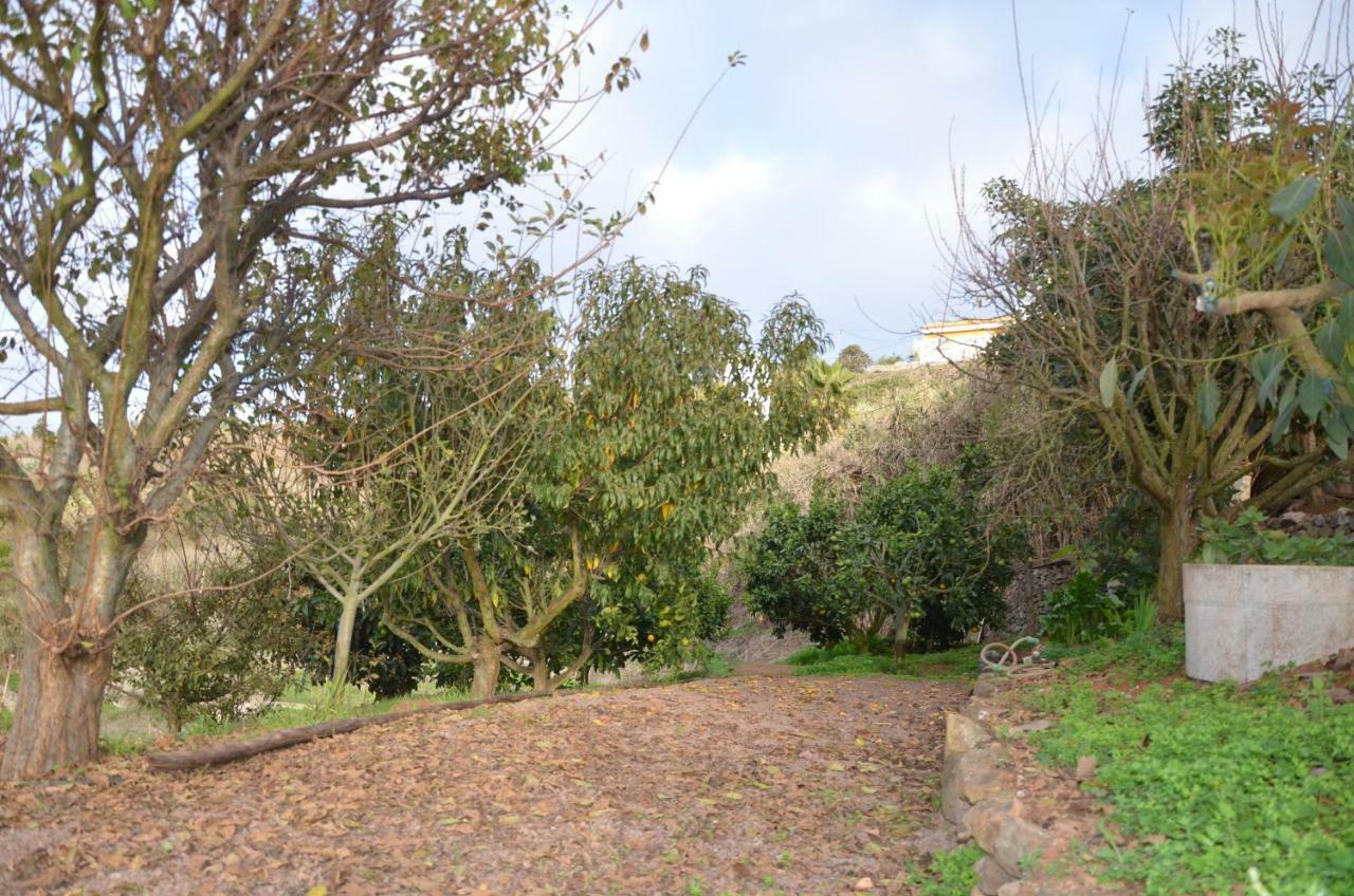 Villa La Berrera à Firgas Extérieur photo